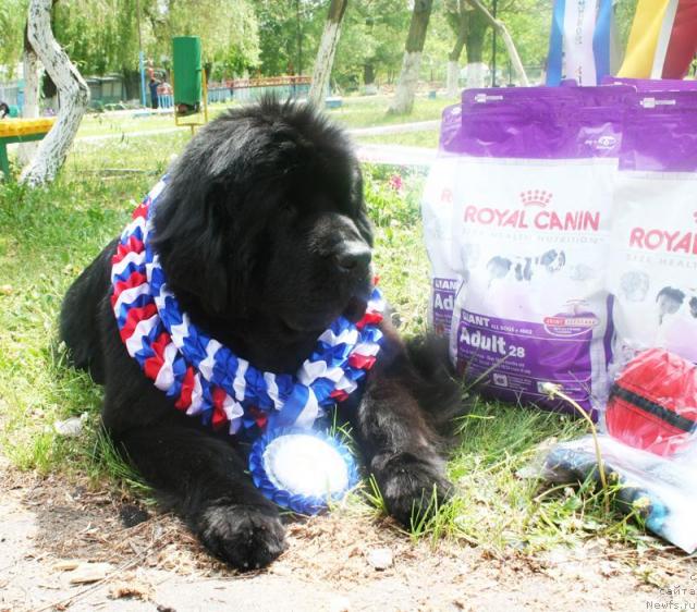 Фотография № 42013