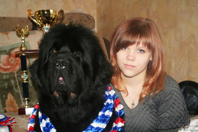 Фотография № 42076