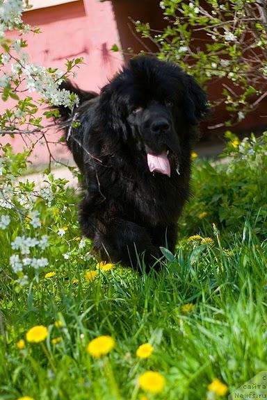 Фотография № 42080