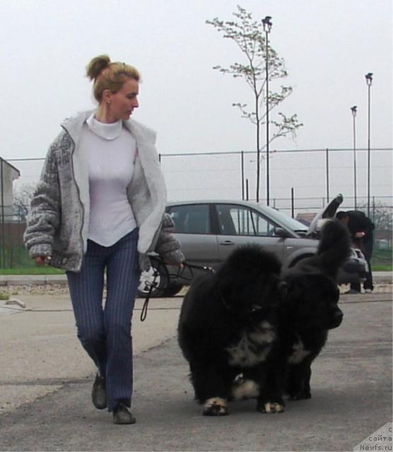 Фото: Masterpiece of Balkan Atlant, Masterpiece of Balkan Abracadabra