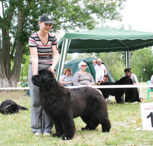 Фотография № 42092