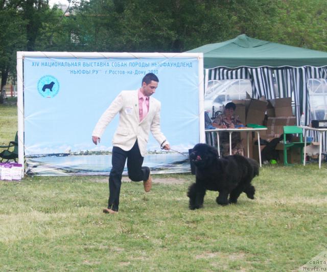 Фотография № 42095