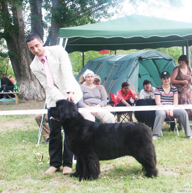 Фотография № 42096