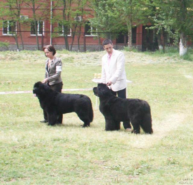 Фотография № 42106