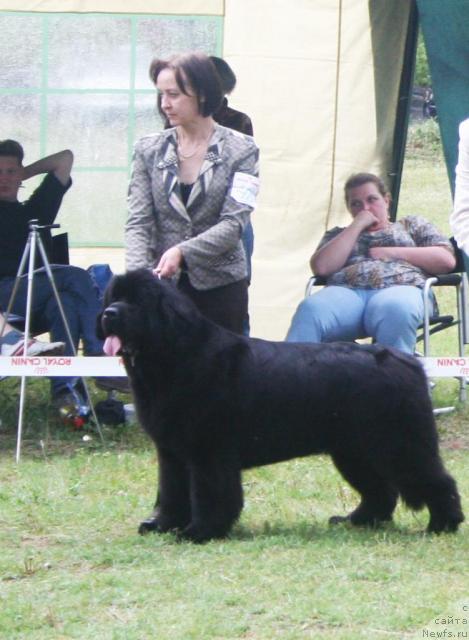 Фотография № 42109