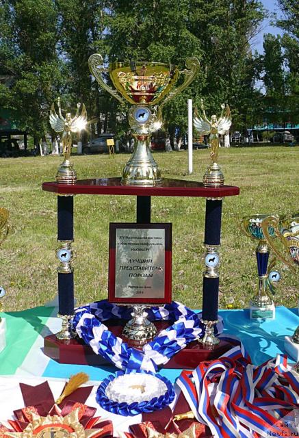 Фотография № 42112