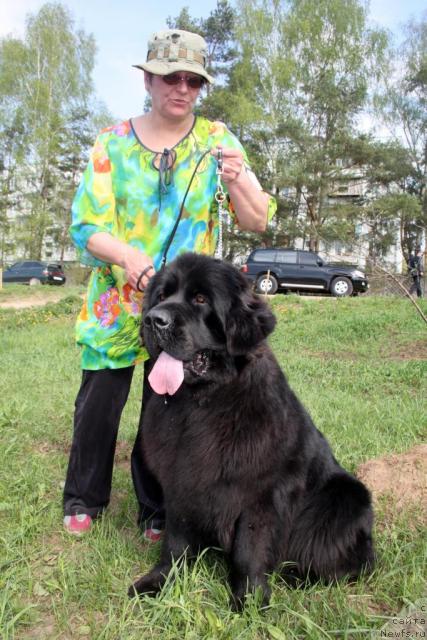 Фотография № 42121