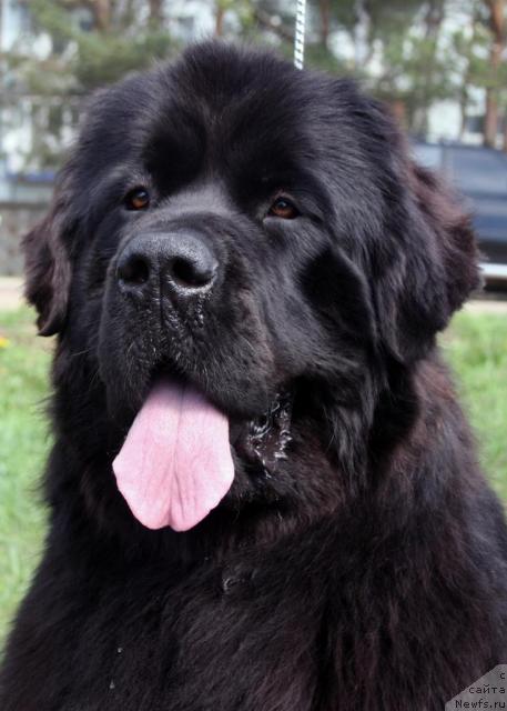 Фотография № 42122