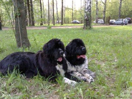 Фотография № 42124