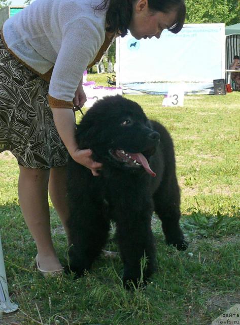 Фотография № 42128