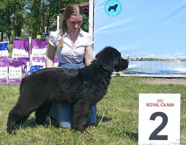 Фотография № 42129