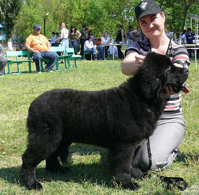 Фотография № 42130