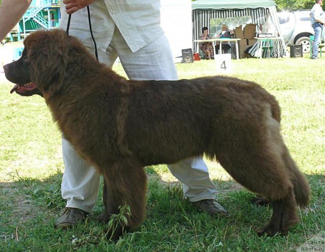 Фотография № 42132