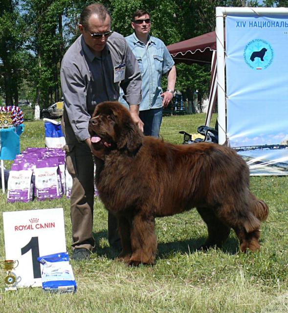 Фотография № 42137