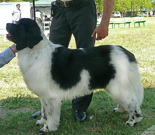 Фотография № 42138