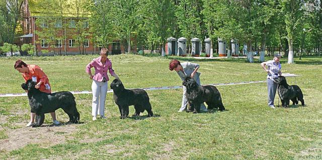 Фотография № 42140