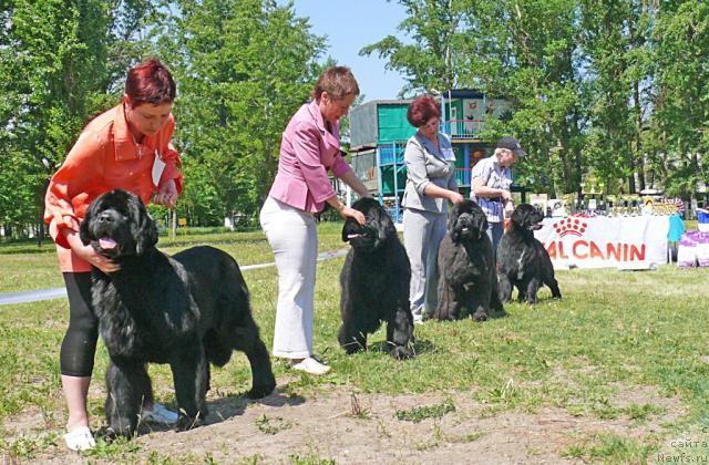 Фотография № 42141