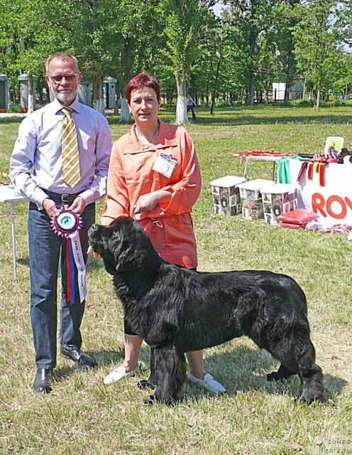 Фотография № 42142