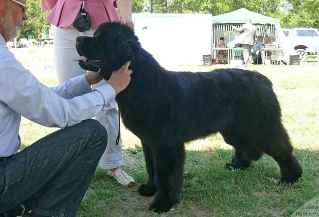 Фотография № 42143