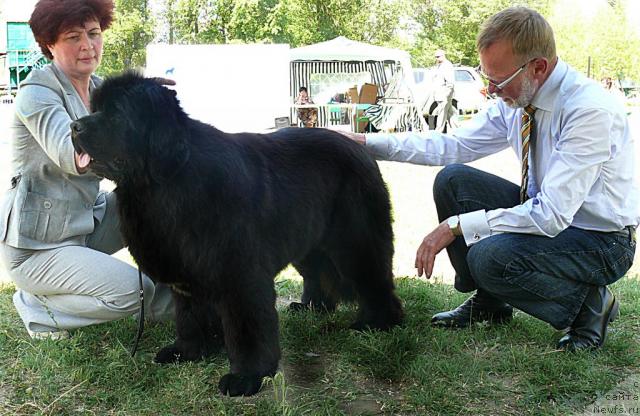 Фотография № 42145