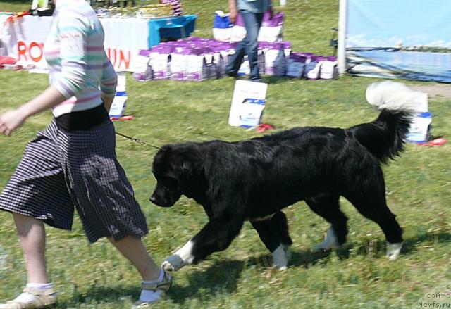 Фотография № 42146