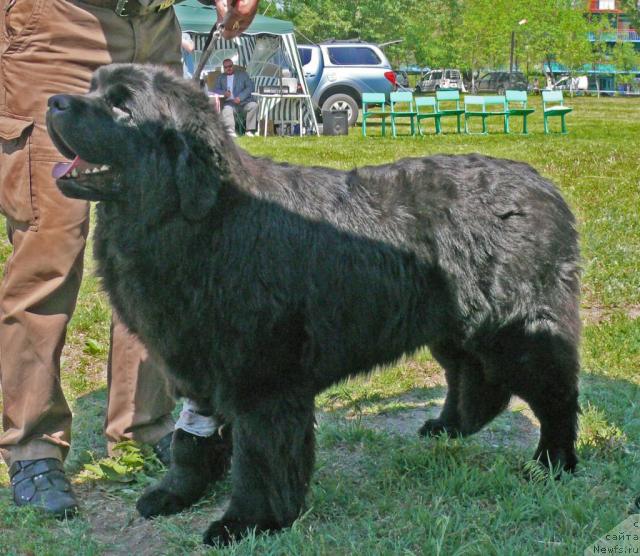 Фотография № 42149