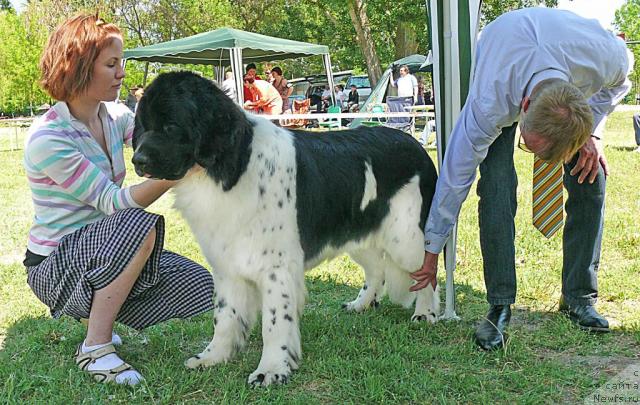 Фотография № 42150