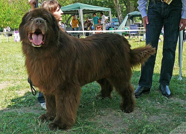 Фотография № 42152