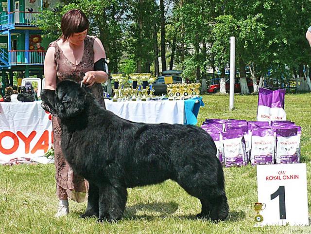 Фотография № 42156