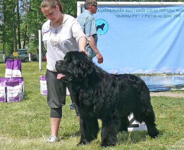 Фотография № 42157