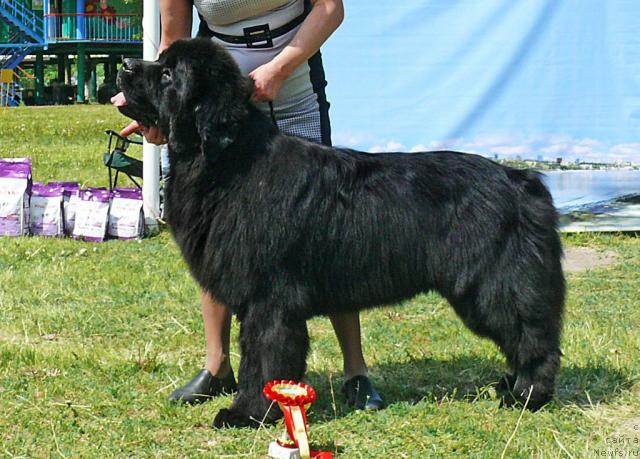 Фотография № 42158