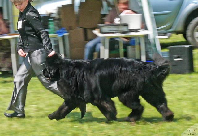 Фотография № 42160