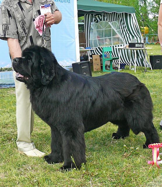 Фотография № 42173