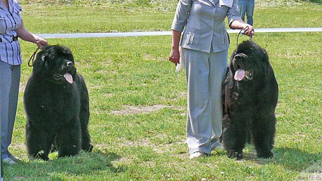 Фотография № 42174