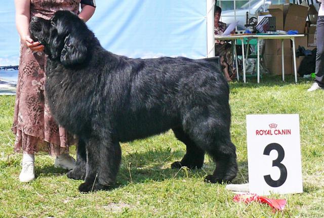 Фотография № 42177