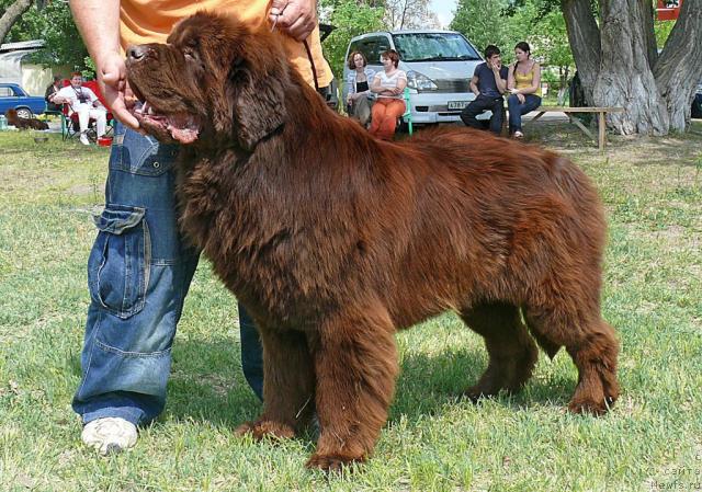 Фотография № 42180