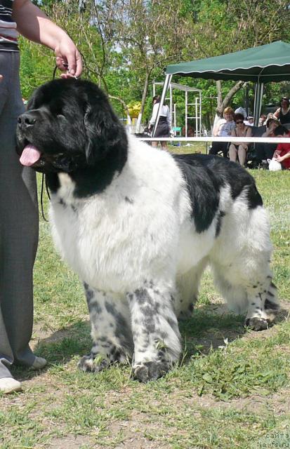 Фотография № 42184