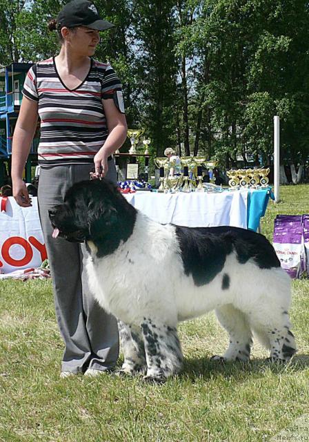 Фотография № 42185