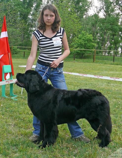 Фотография № 42190