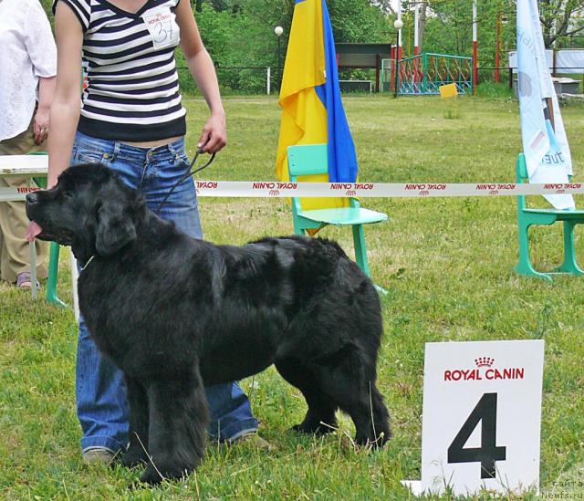 Фотография № 42191