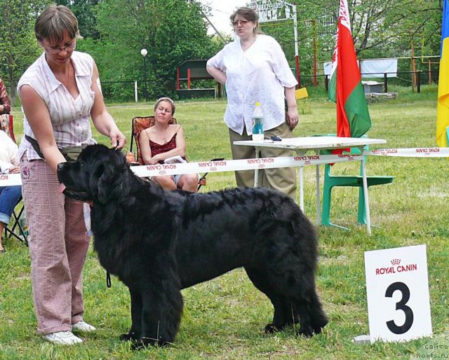 Фотография № 42192