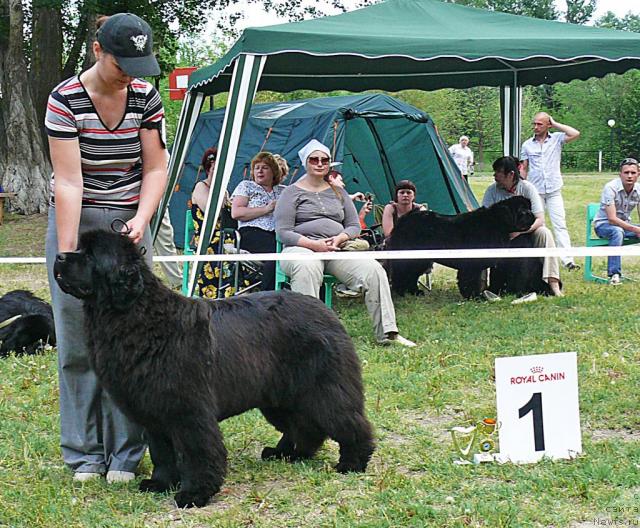 Фотография № 42194