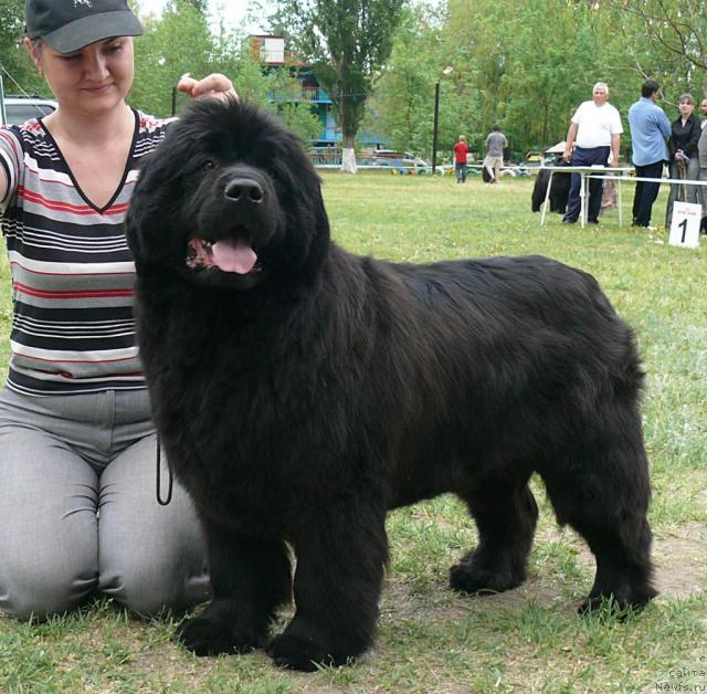 Фотография № 42197