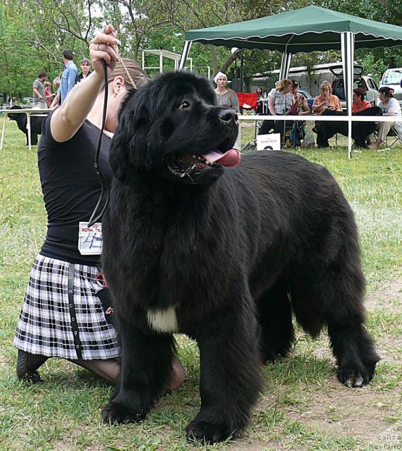 Фотография № 42198