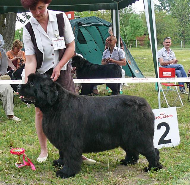 Фотография № 42199