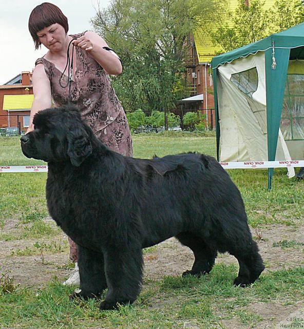 Фотография № 42200