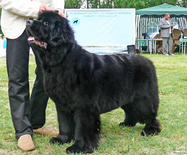 Фотография № 42201