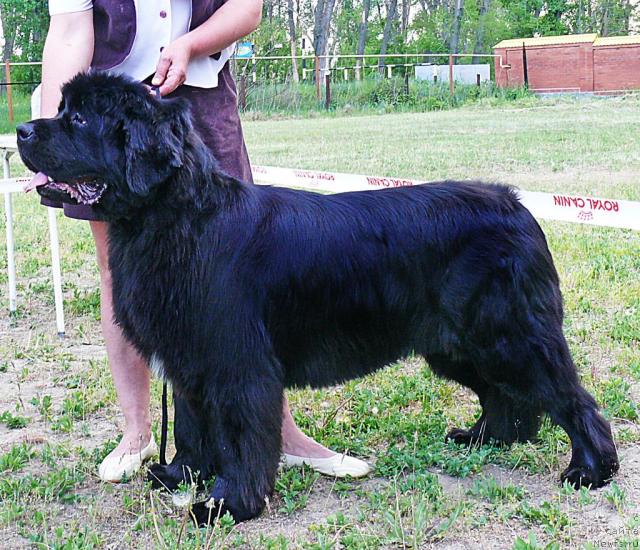 Фотография № 42204