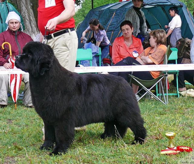 Фотография № 42206