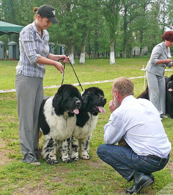 Фотография № 42223